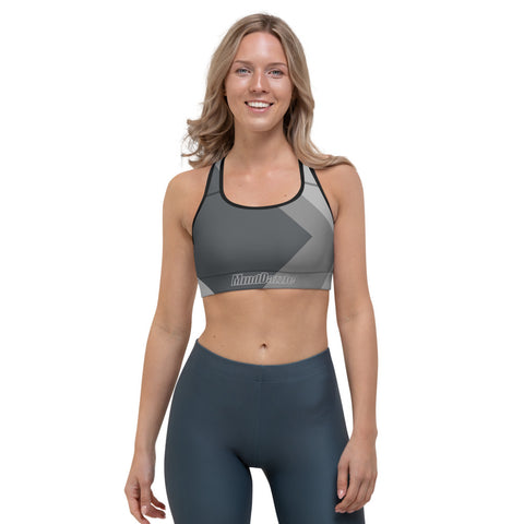 Color Block Sports Bra - Graphite / Ash Gray / Silver